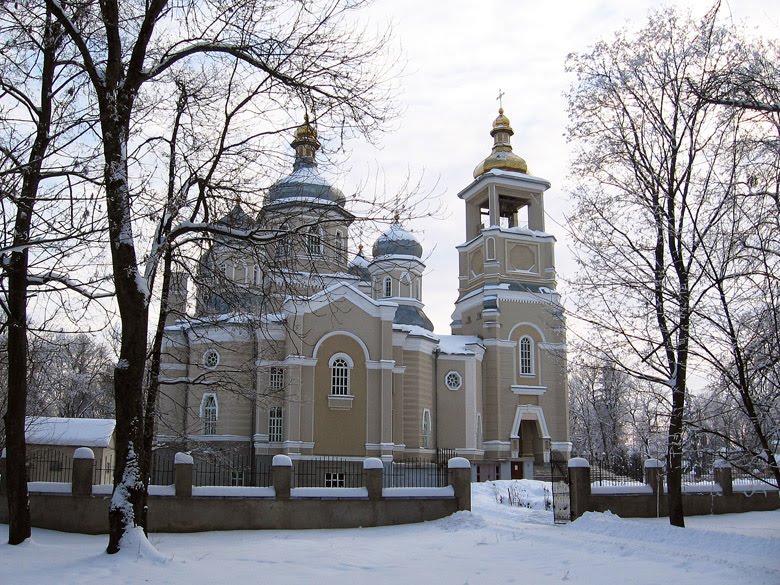 Собор 2011