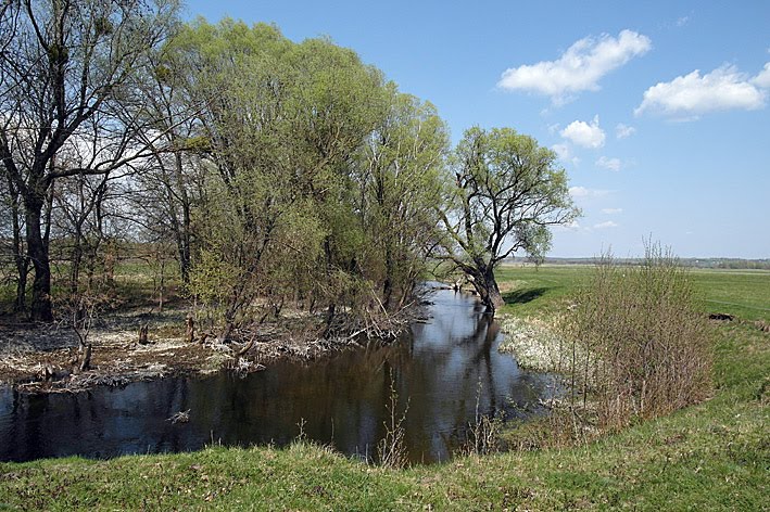 р. Грунь 2011