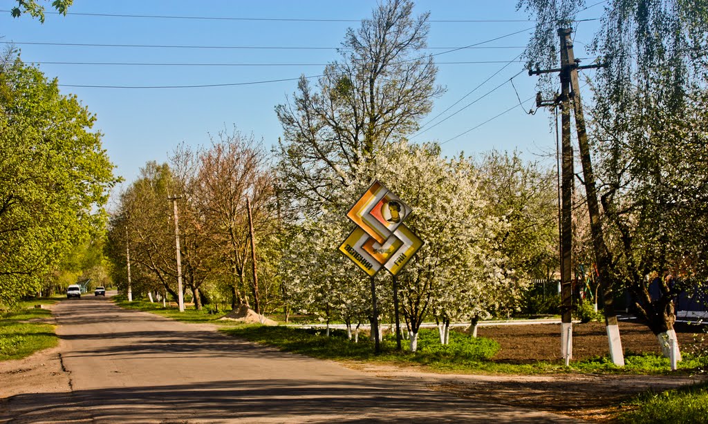 Гадяч Урочище Зелений Гай