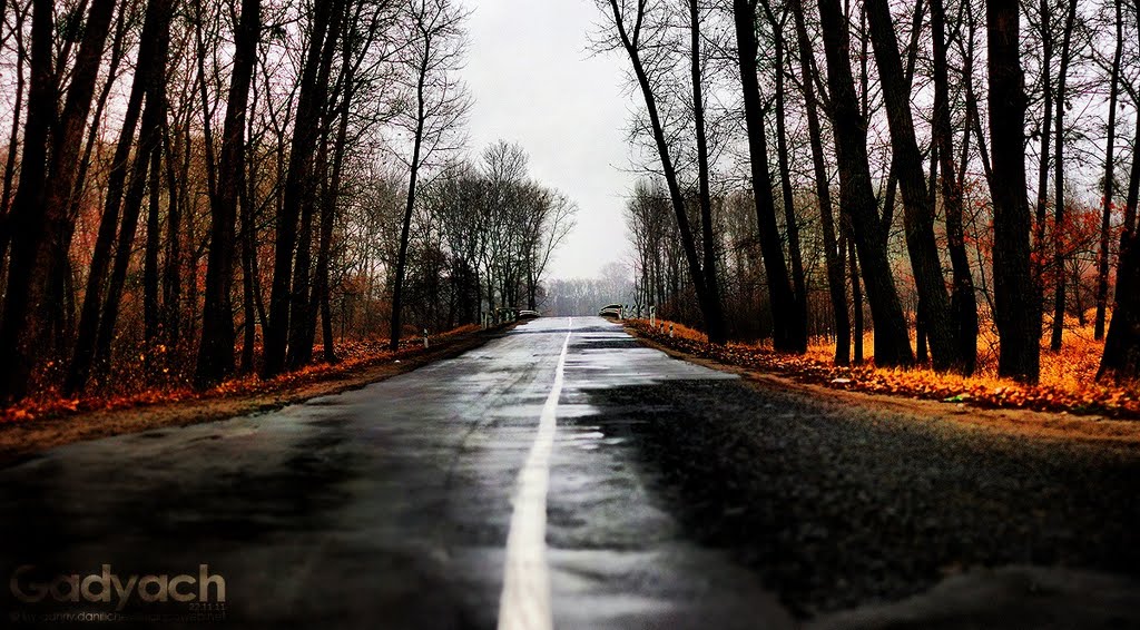 Гадяч