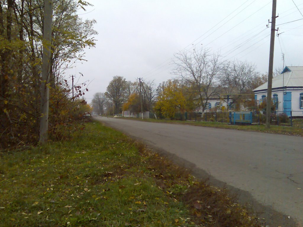 Вл. Леніна 296
