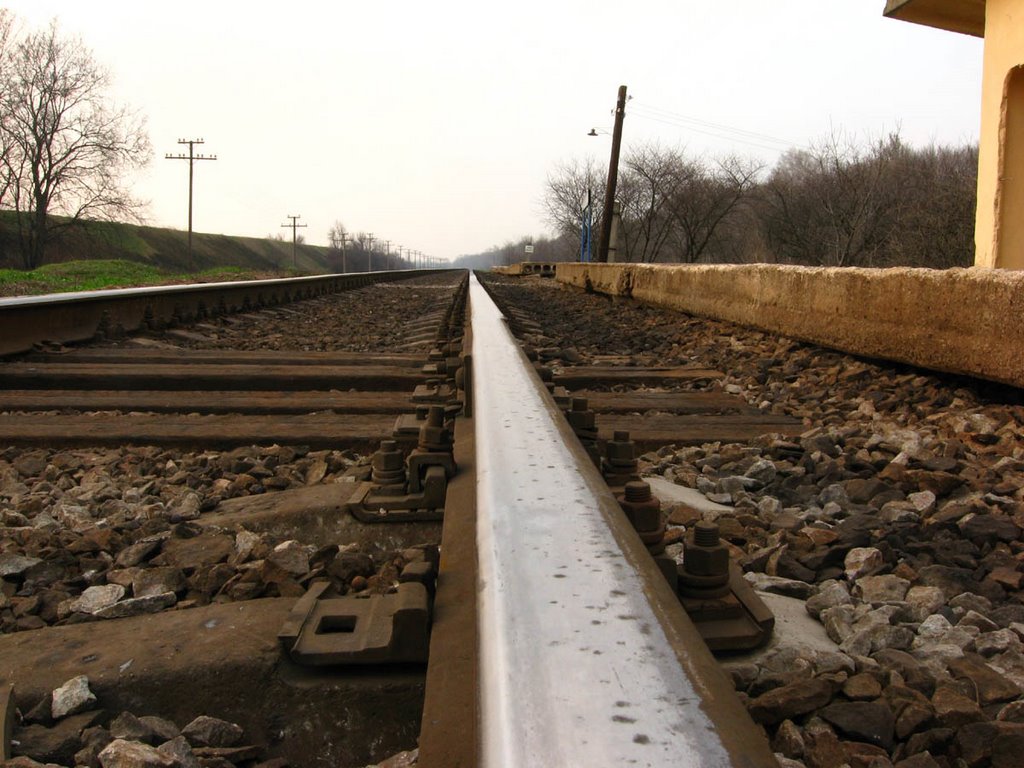 Globino 2009 C