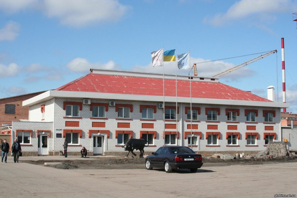 Глобинский МК
