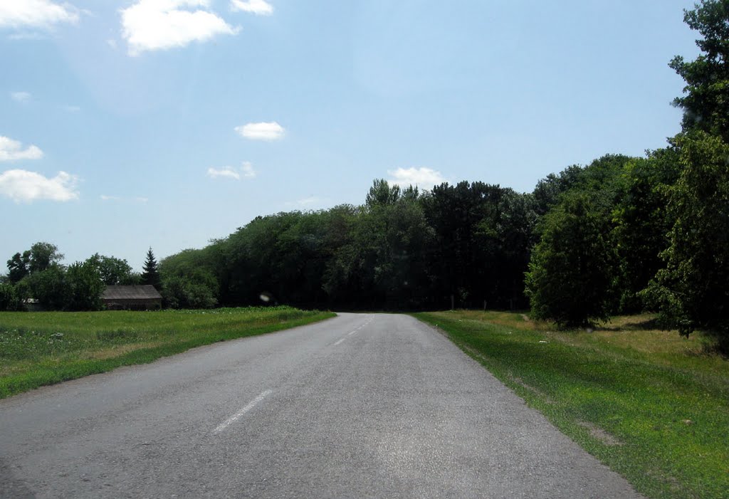 Устиновка 2010