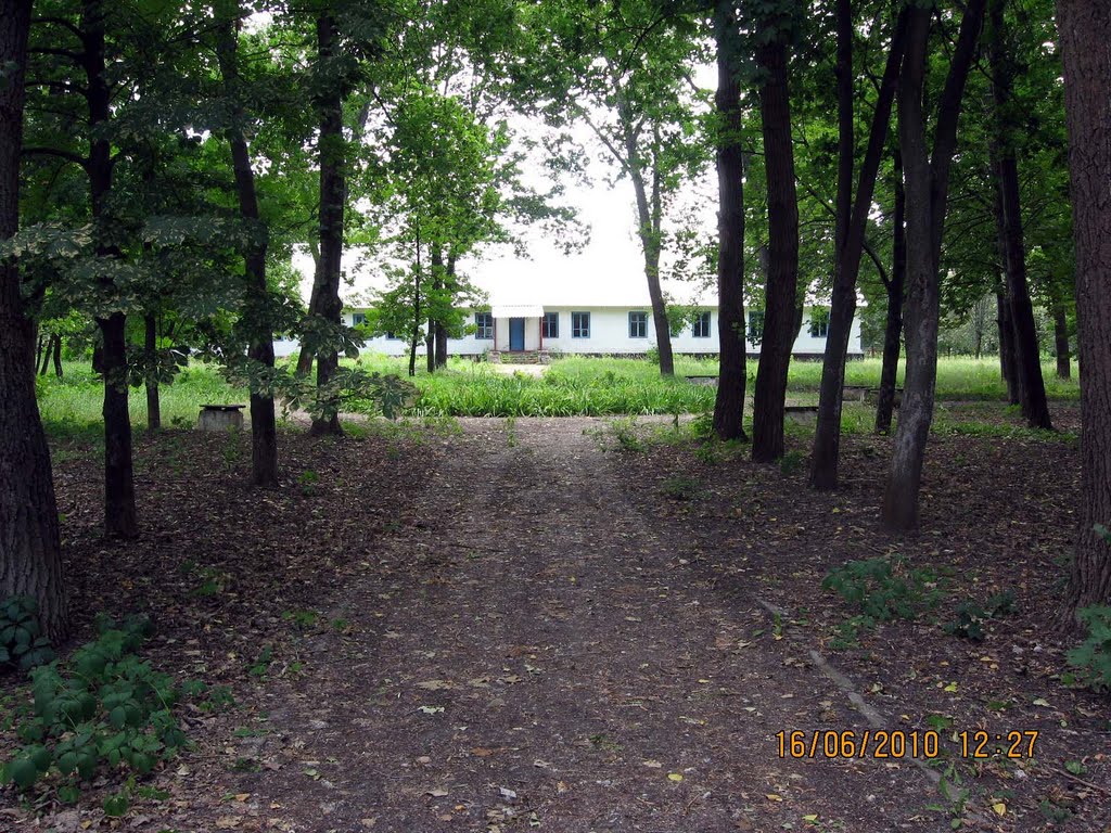 Глобино 2010, авиагородок