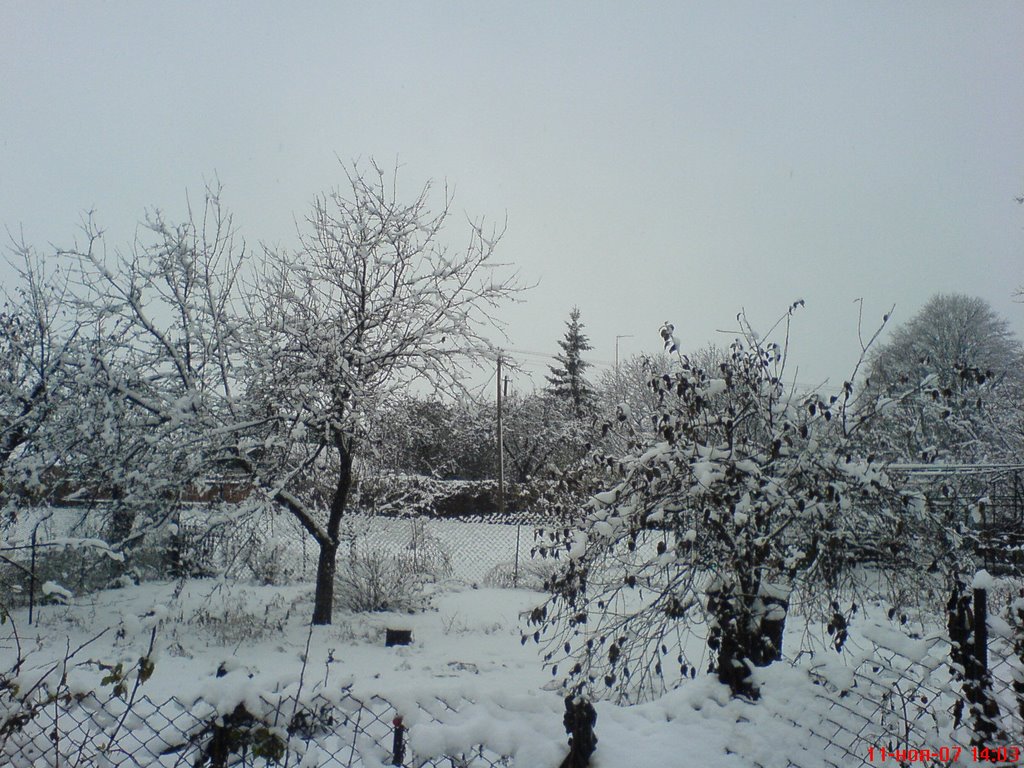 Зима