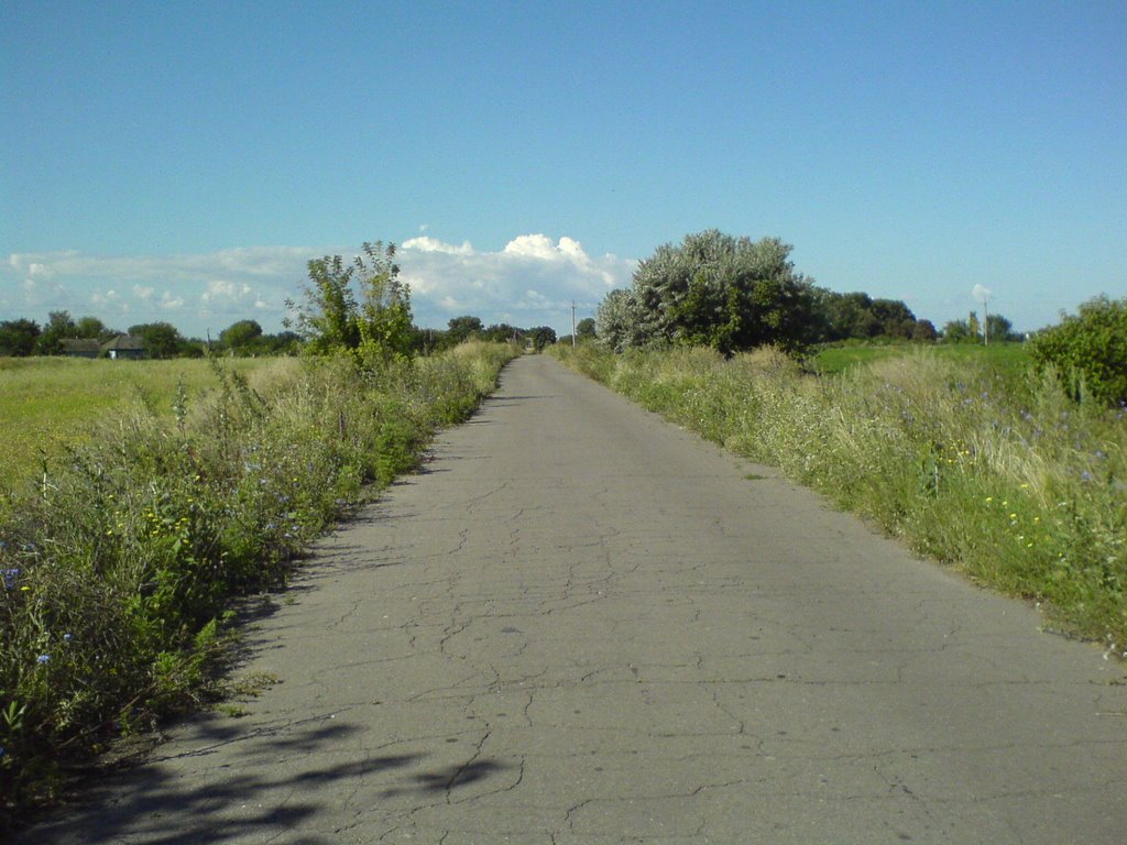 дорога