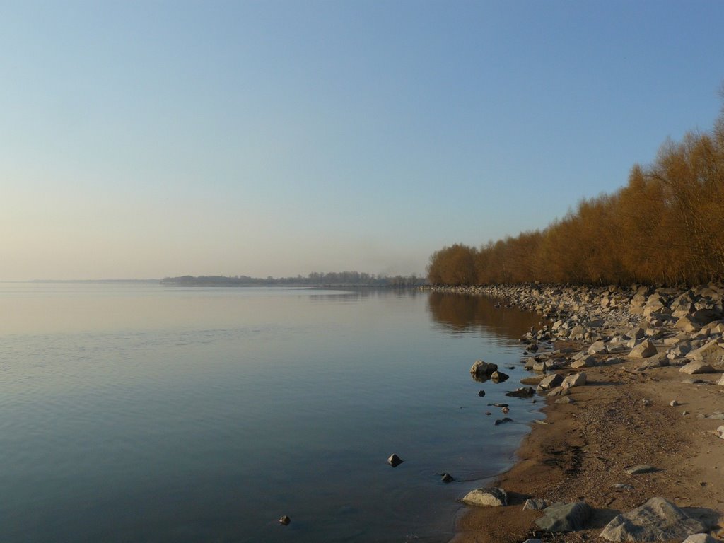 Берег водосховіща весною 2009-го