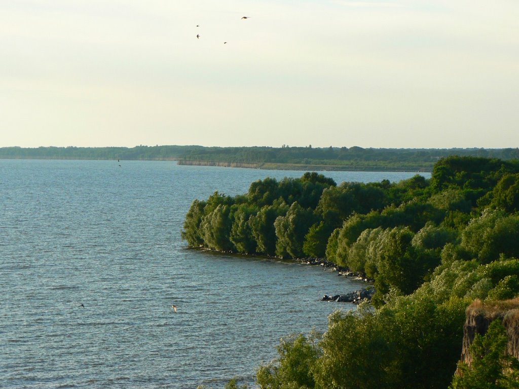Берег водосховища