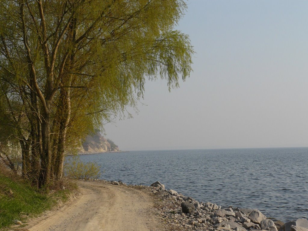 Дамба навесні 2009-го