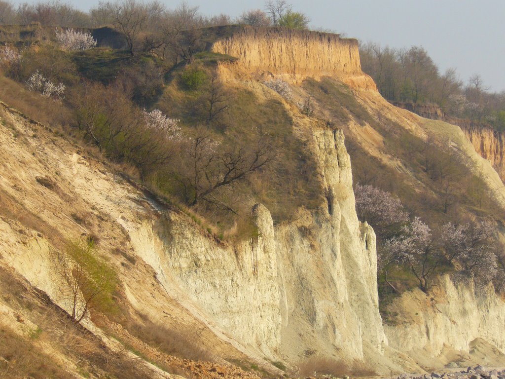 Мергельні кручі