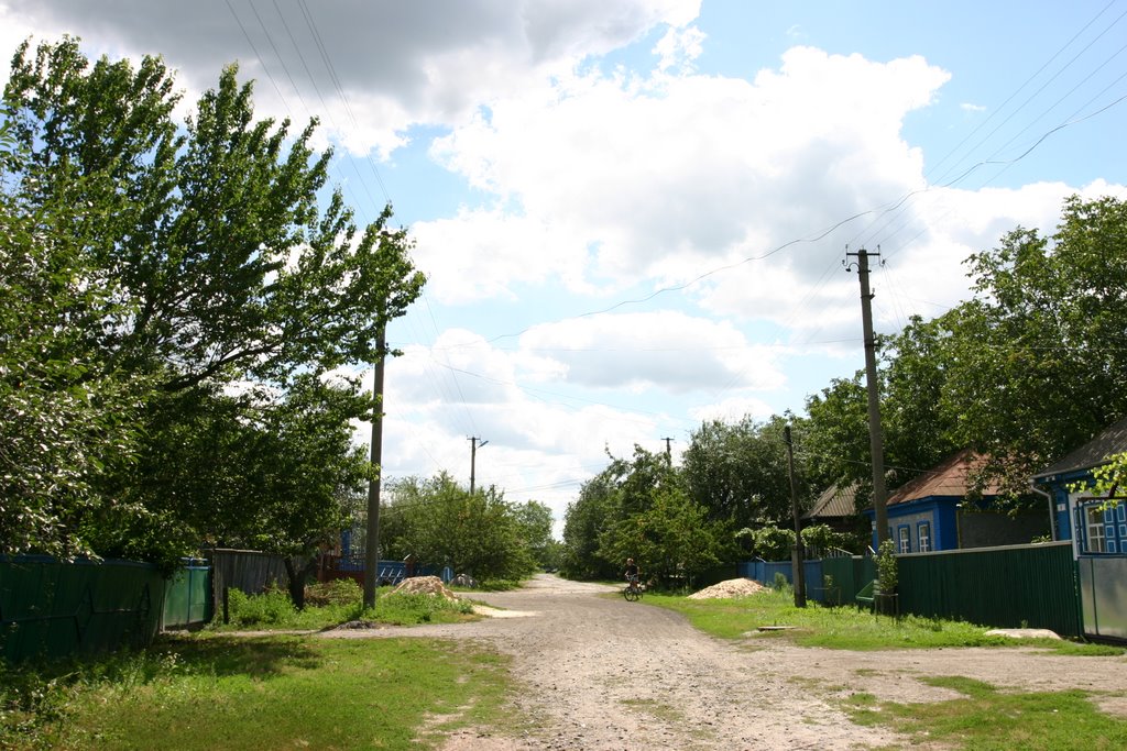 Lesi Ukrainki street