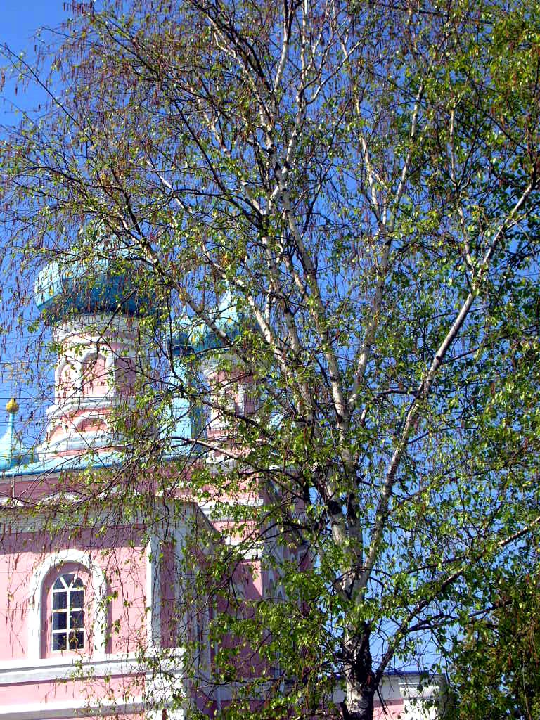 Церковь