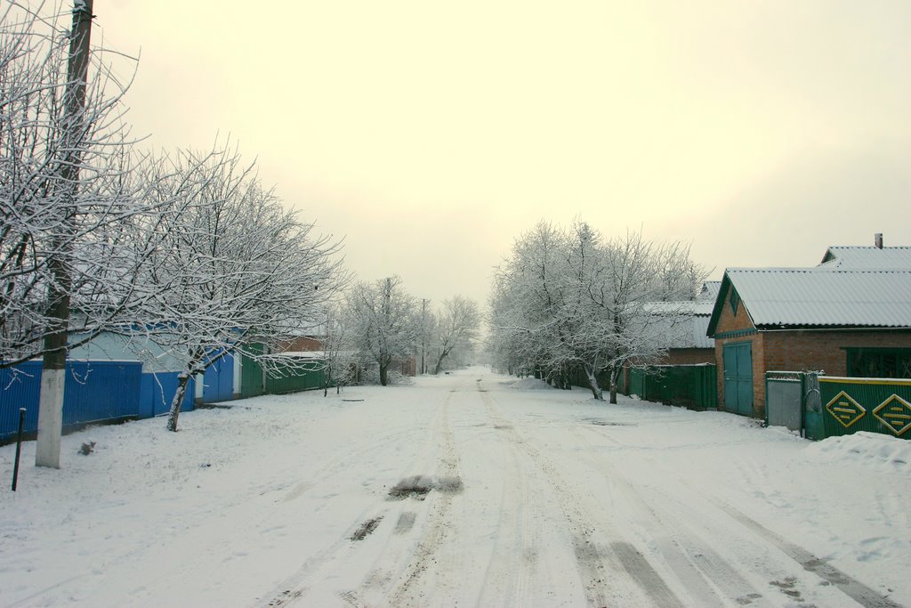 Lesi Ukrainki street in winter