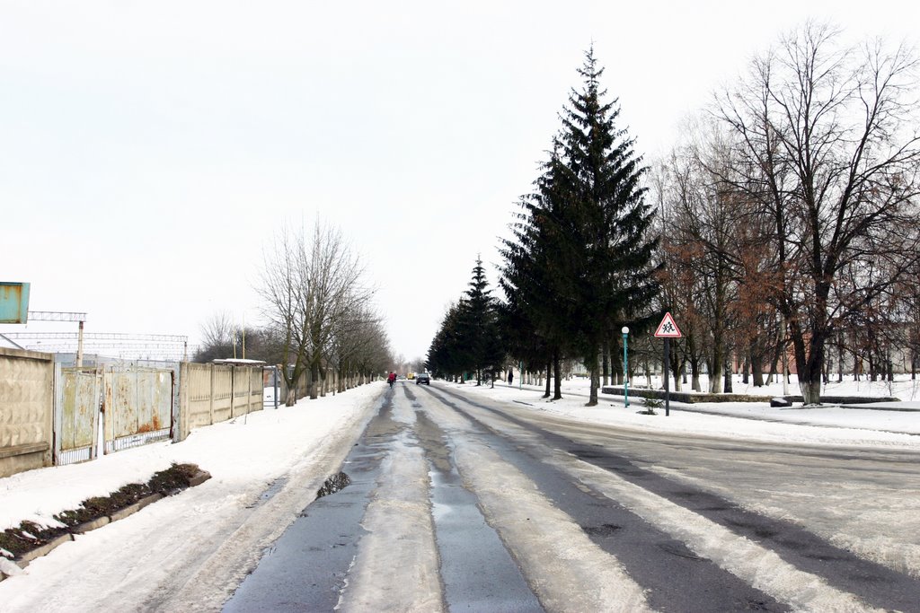 Petrovsky street
