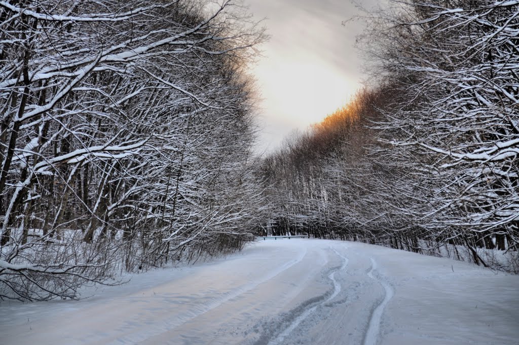дорога к Дубам 22.01.2011