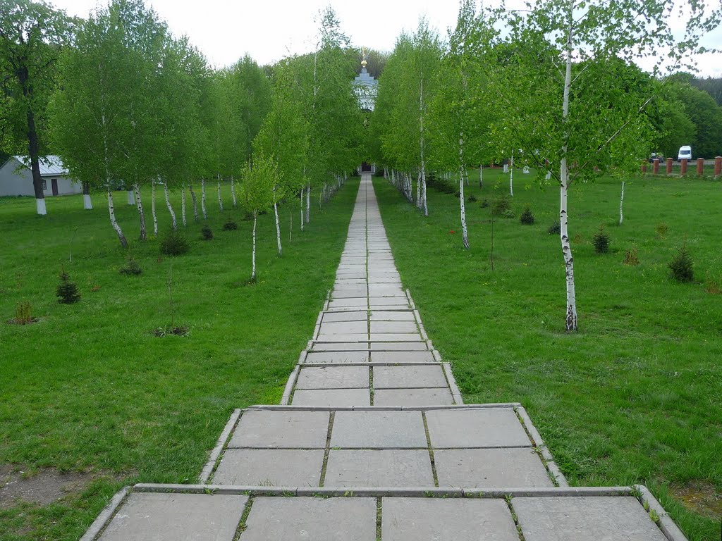 Аллея, ведущия от храма к колокольне