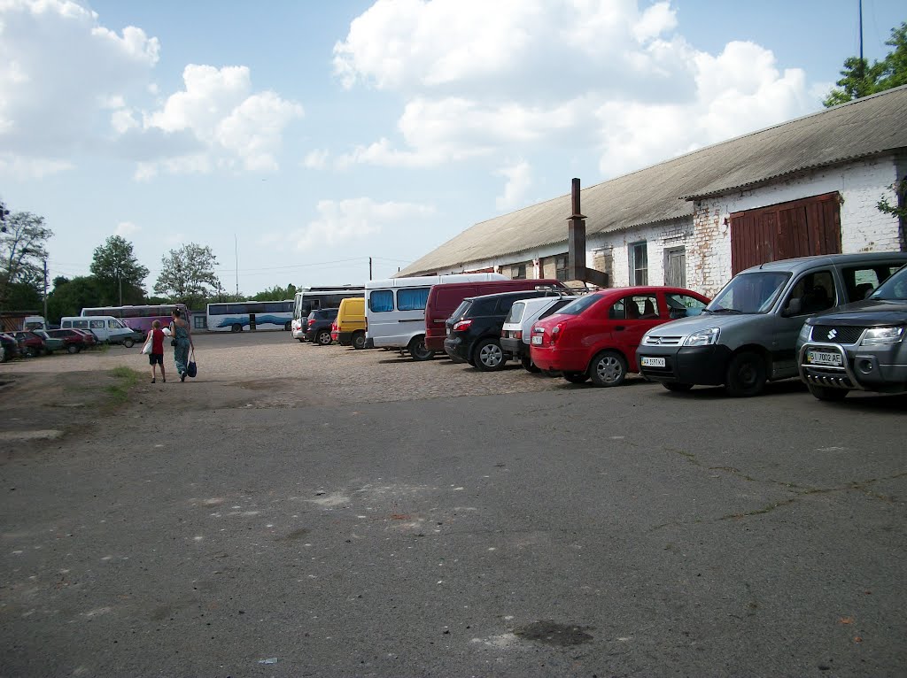 parking at the park