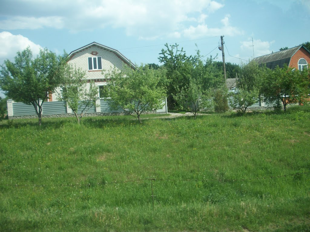 Dicanka