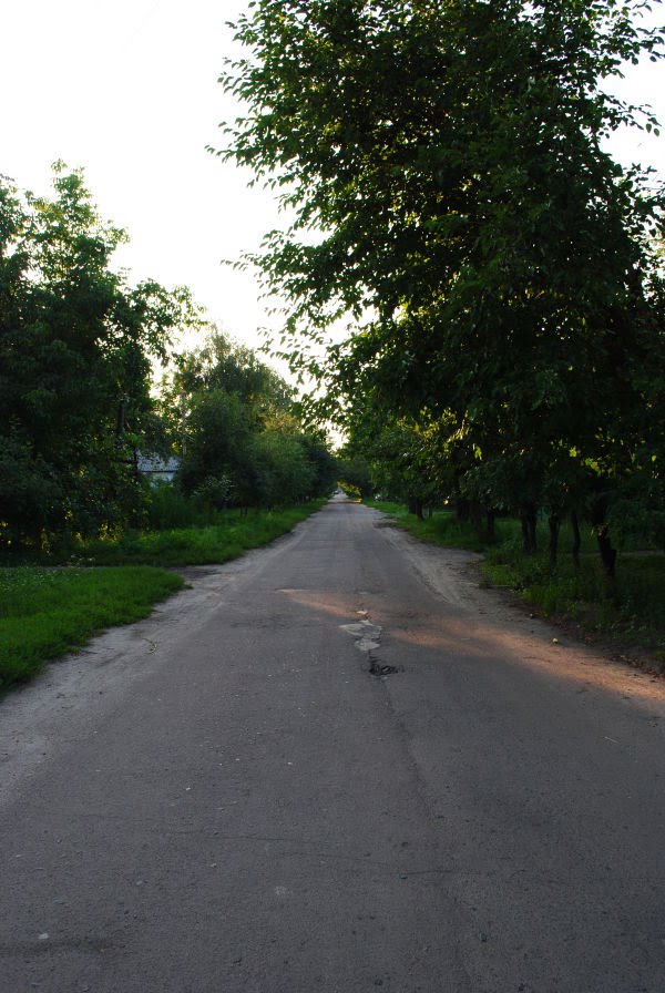 Зеньков, ул. Барыльца