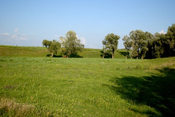 Біля парку...