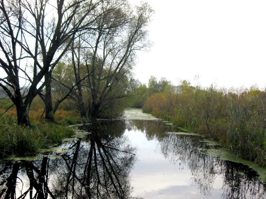 Рiчка Ташань.