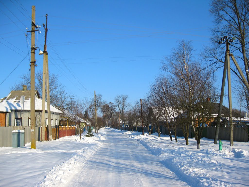2010. Місто Зіньків. Вулиця Щорса