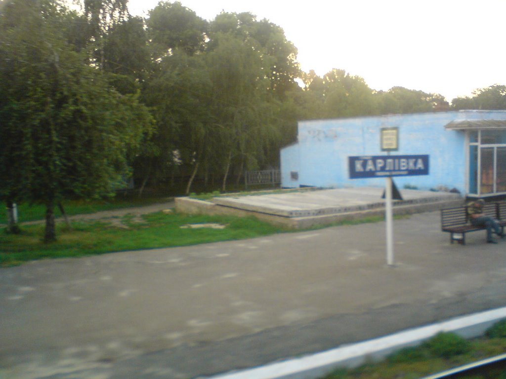 Карловка