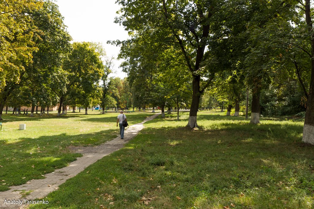 Карлівка, Полтавської області - Центральний Парк