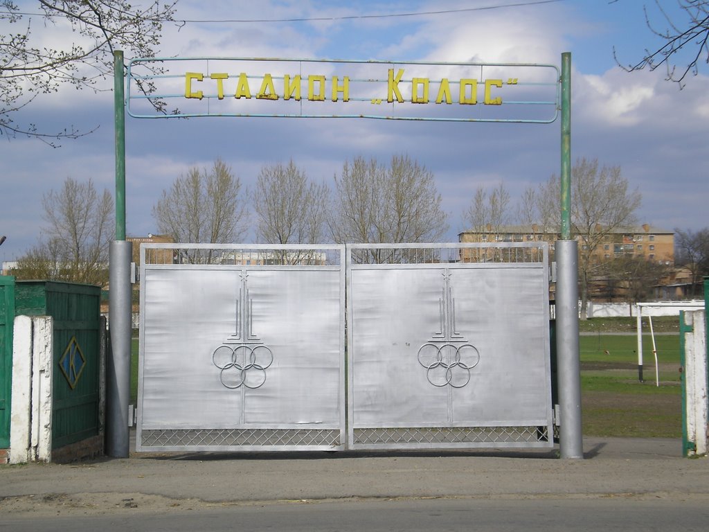 Міський стадіон "Колос"