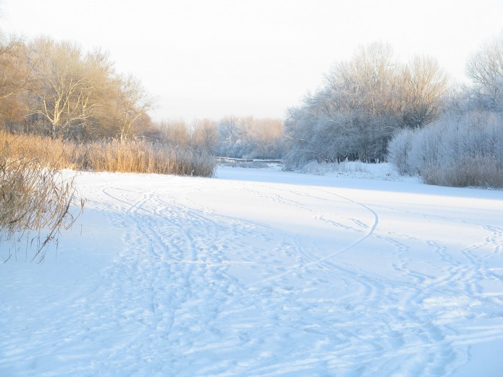 Река Ворскла