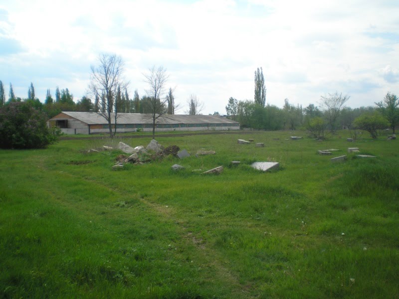Jewish Cemetery (Єврейське кладовище)
