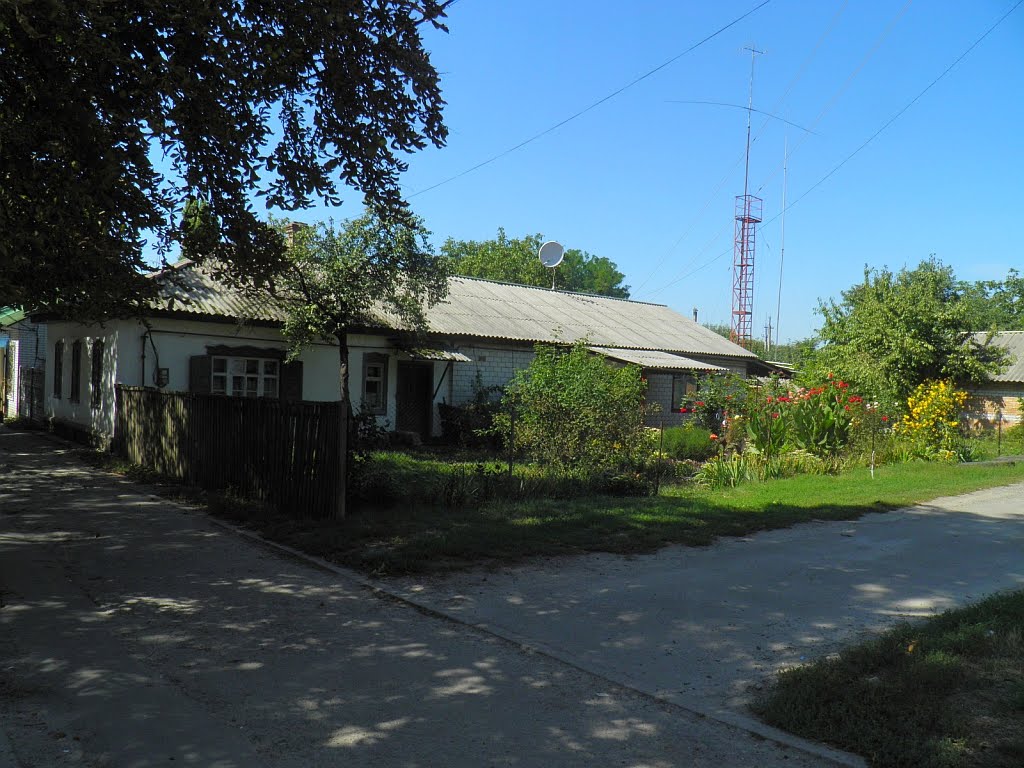 палисадникУ ДОМА