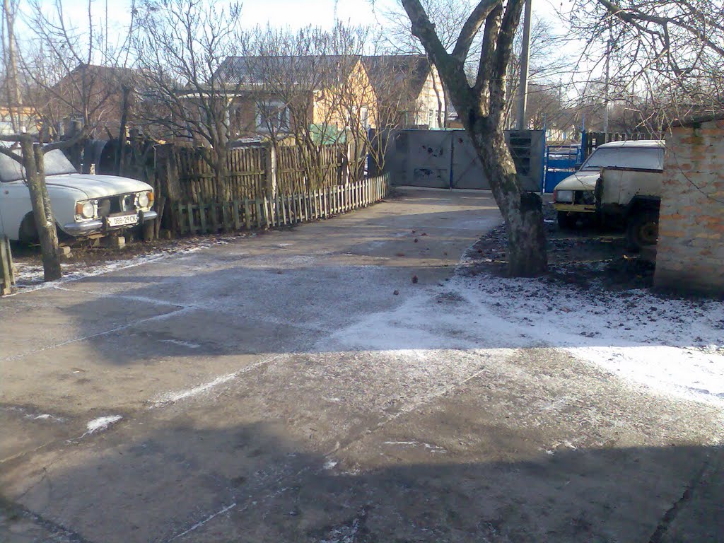 Наш двор 1