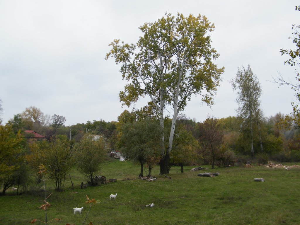 окраина