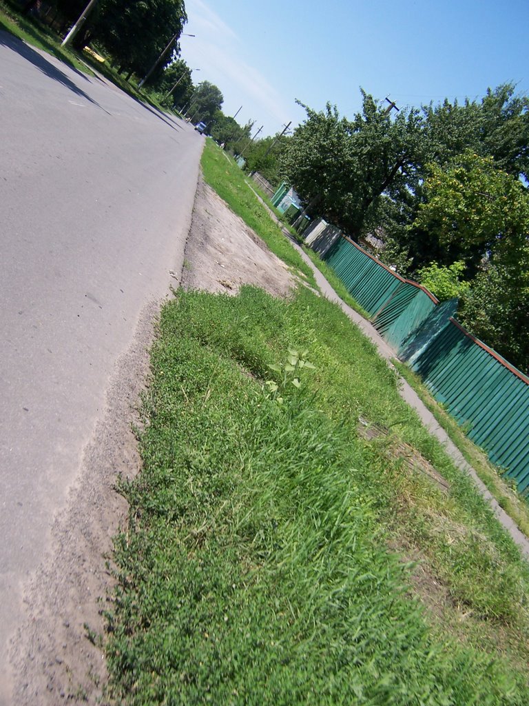 road in kozelshcyna