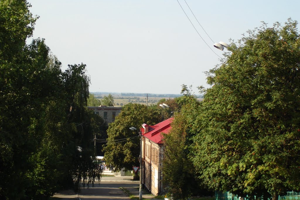 Козельщина степь