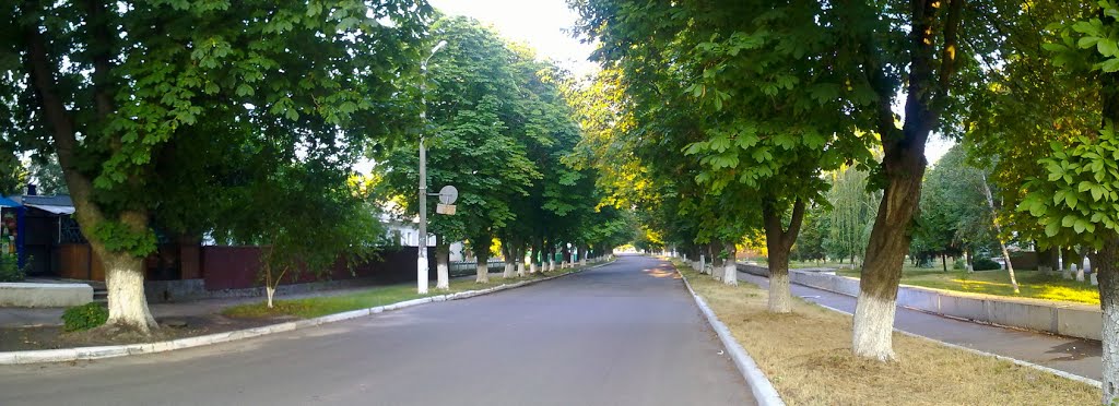 Каштанова дорога