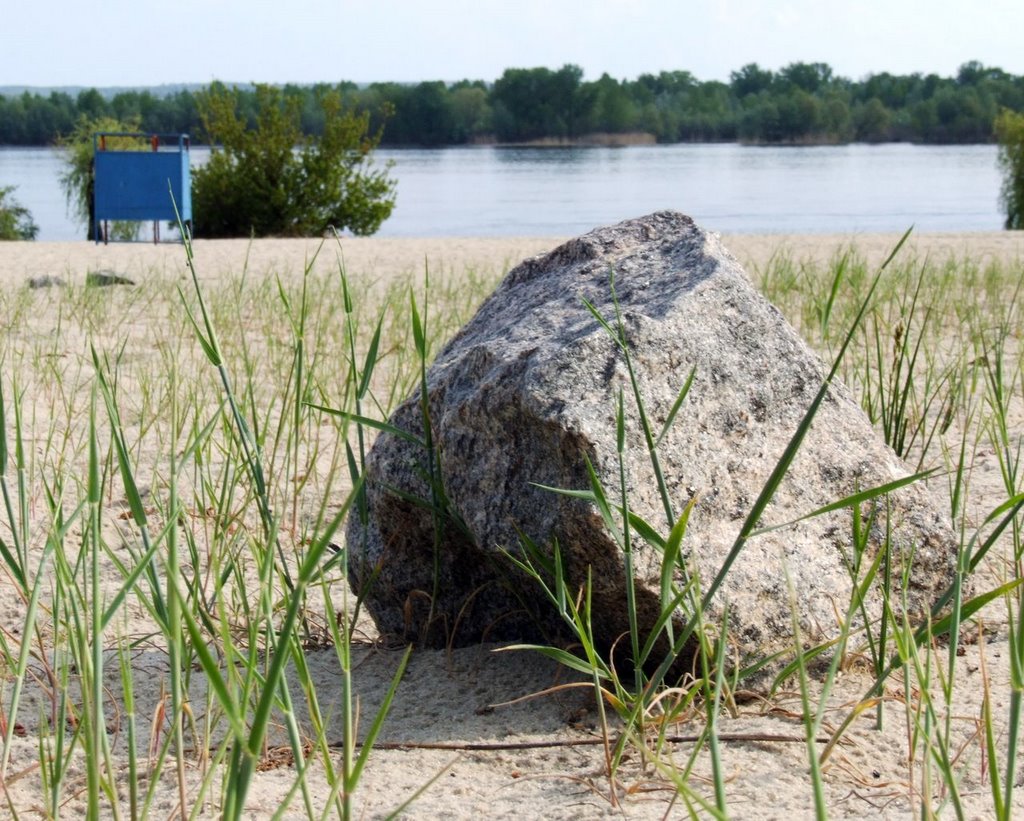 Stone on a beach. May 2009