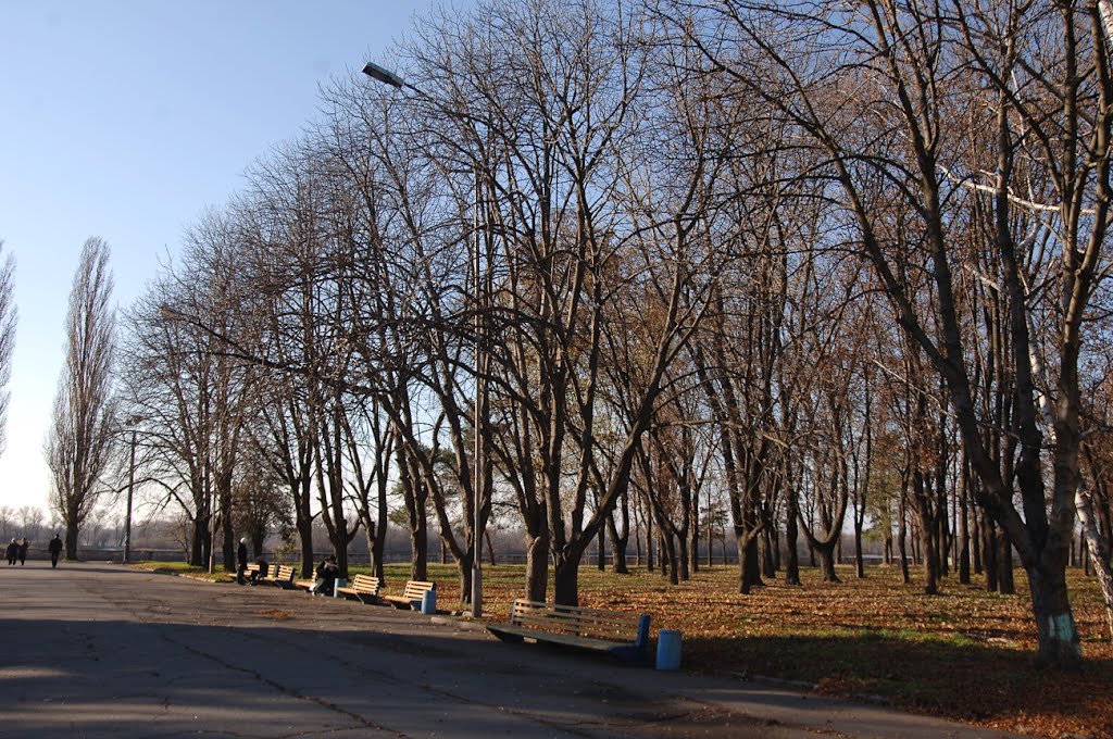 Осений парк