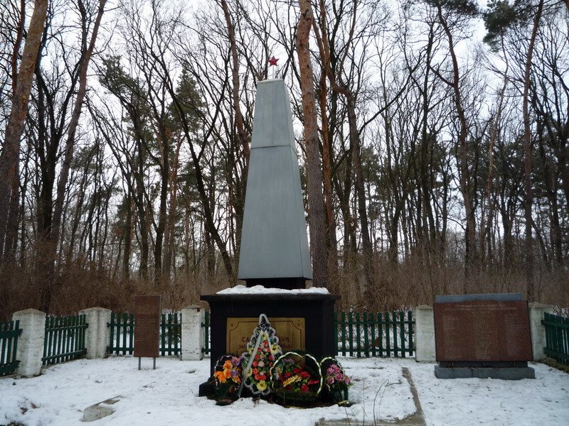 Памятник "Вічна слава борцям, загиблим в боротьбі з німецько-фашистськими окупантами" в сосновому парку