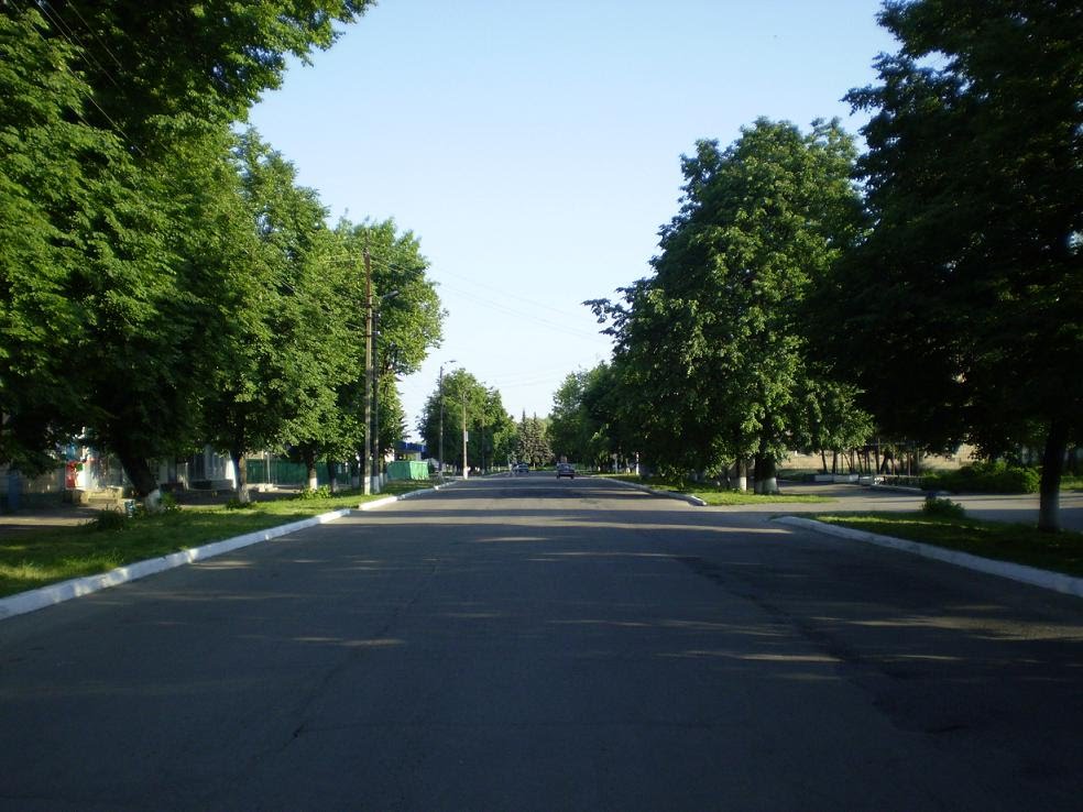 вул. Перемоги ...