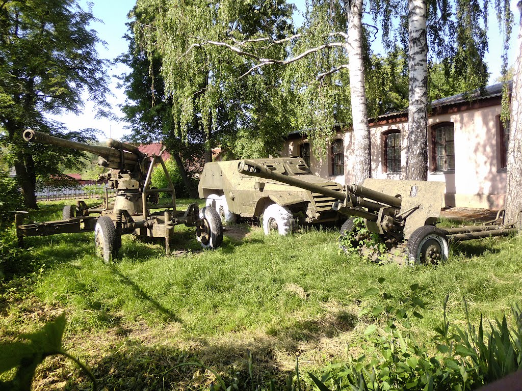 Во дворе краеведческого музея...