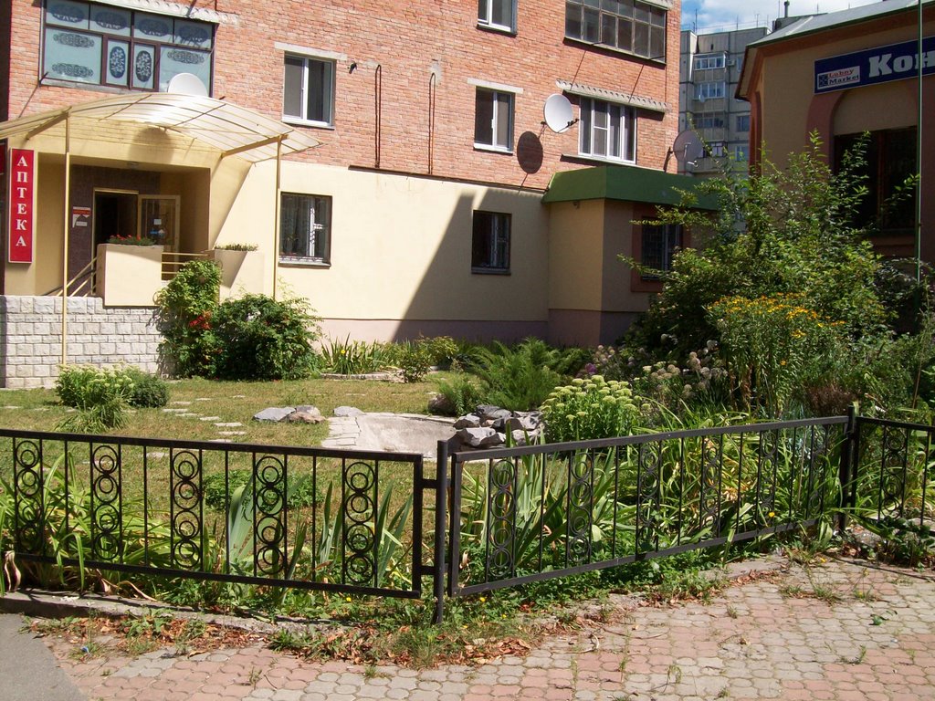 Oasis