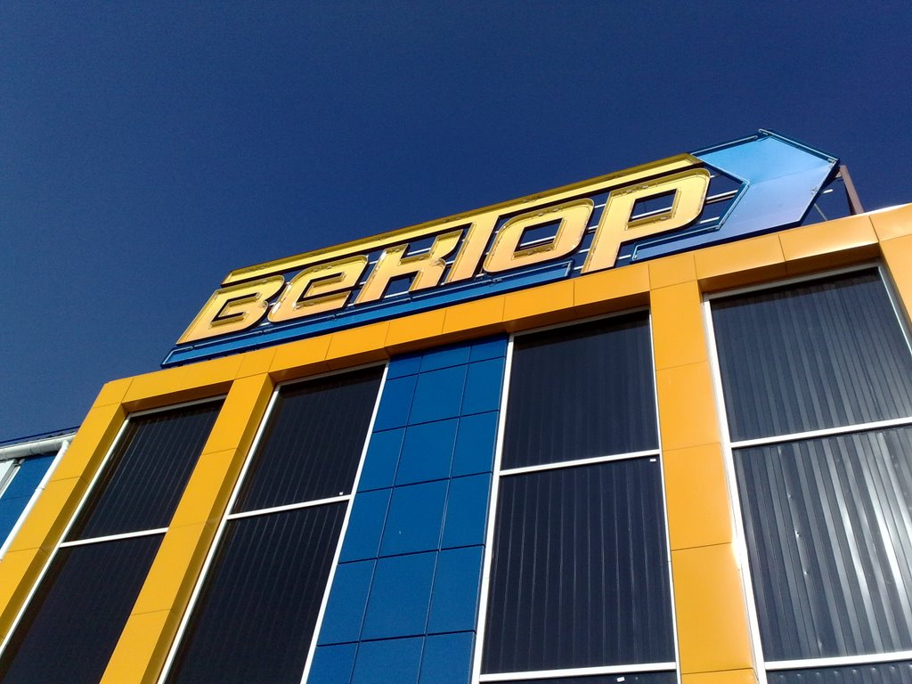 Вектор