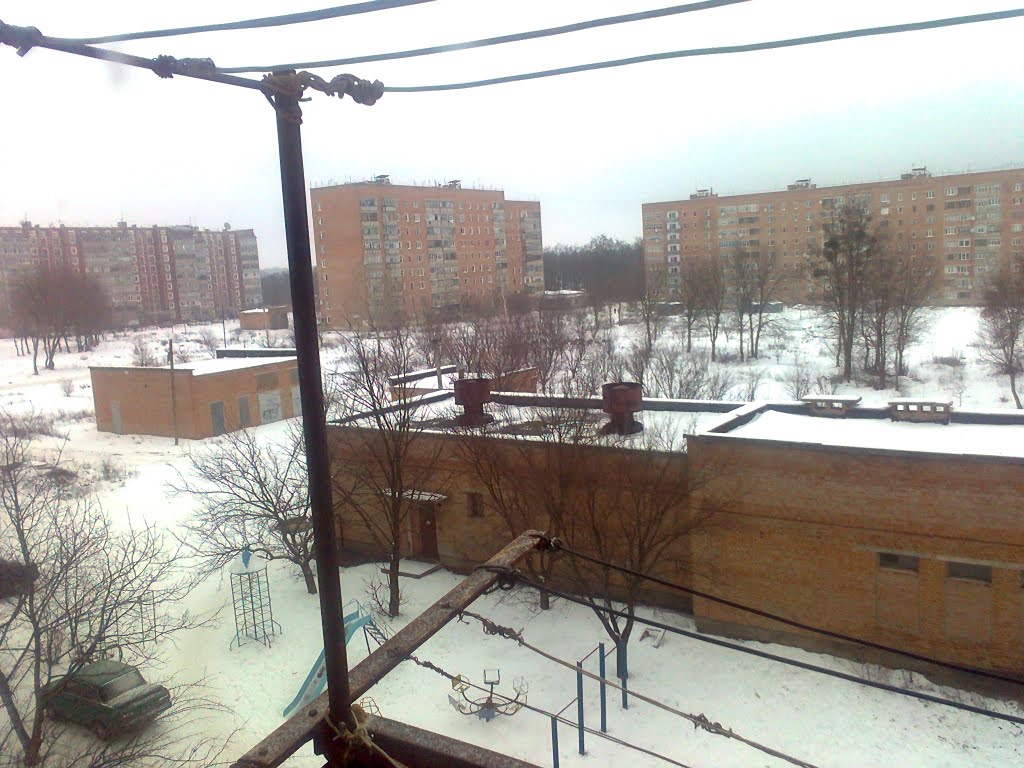 Василенковое поле