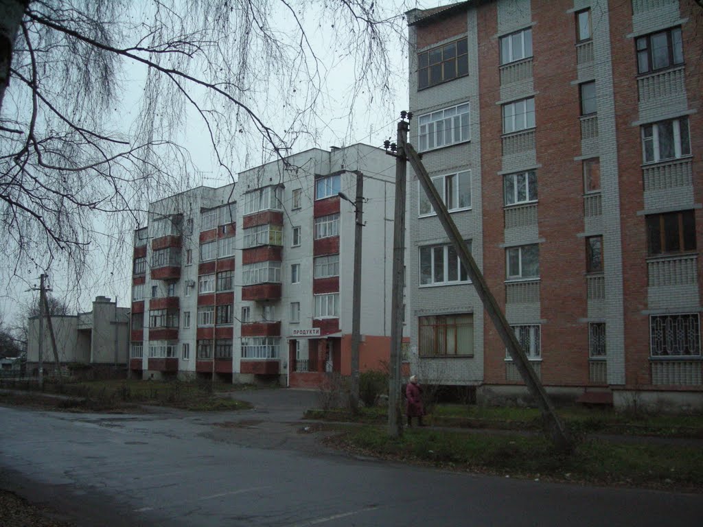 ул. Гагарина