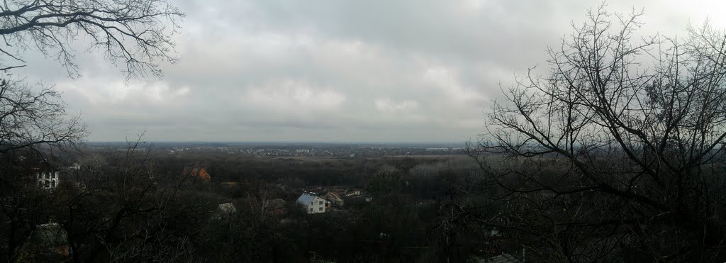 Вид на Засулье