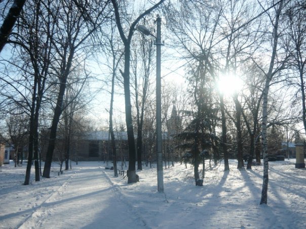 Парк зимой