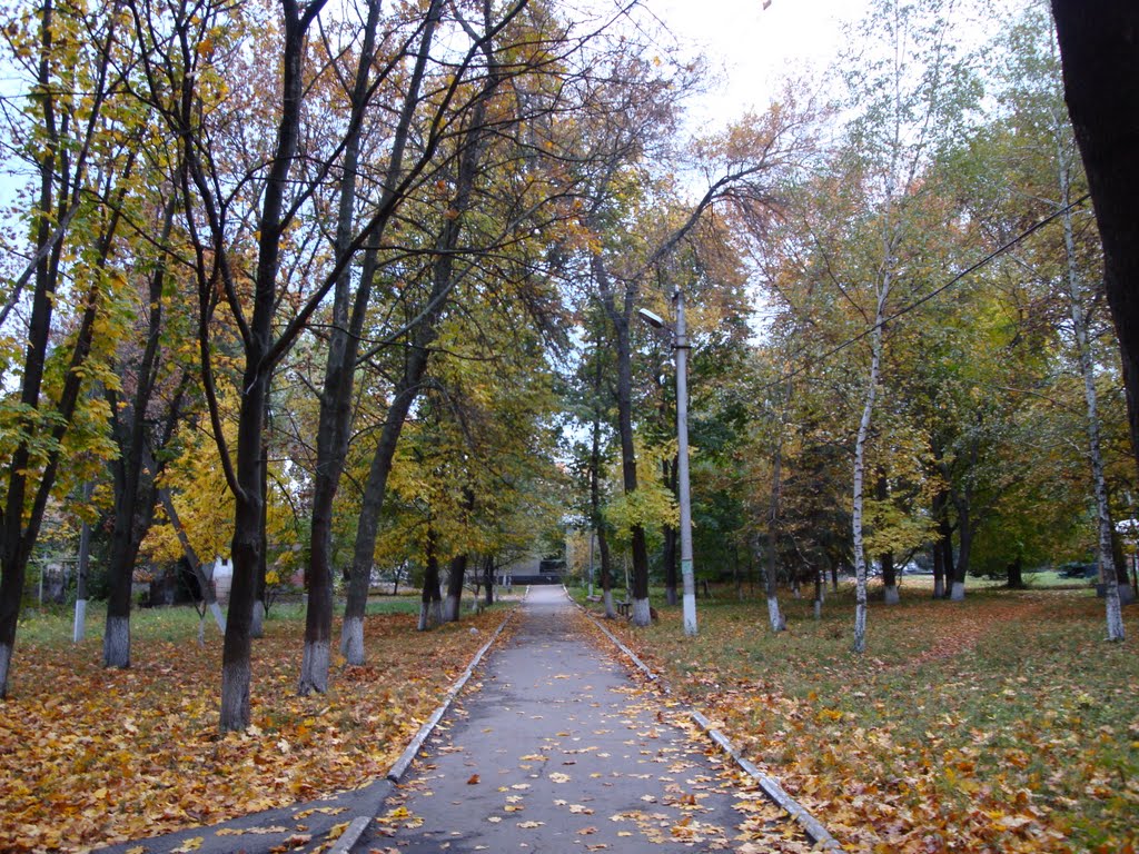 Машівка осінь